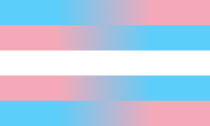 :transflag: